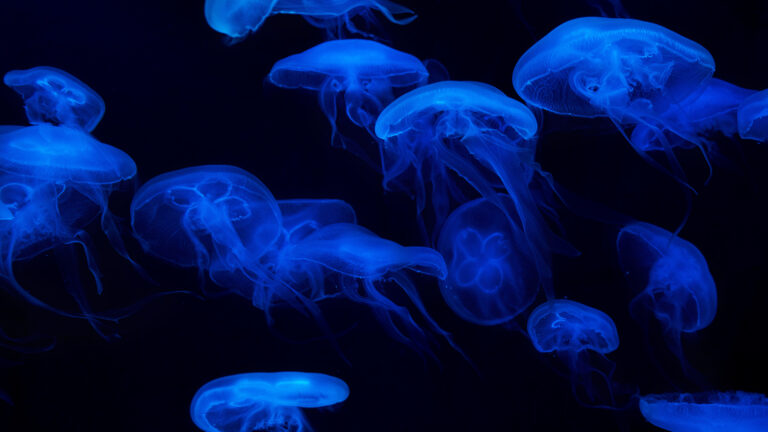 Hein Htet - Go-together